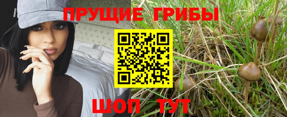 Лесной  где купить наркотик  Вход с VPN  Псилоцибиновые грибы MAGIC MUSHROOMS 