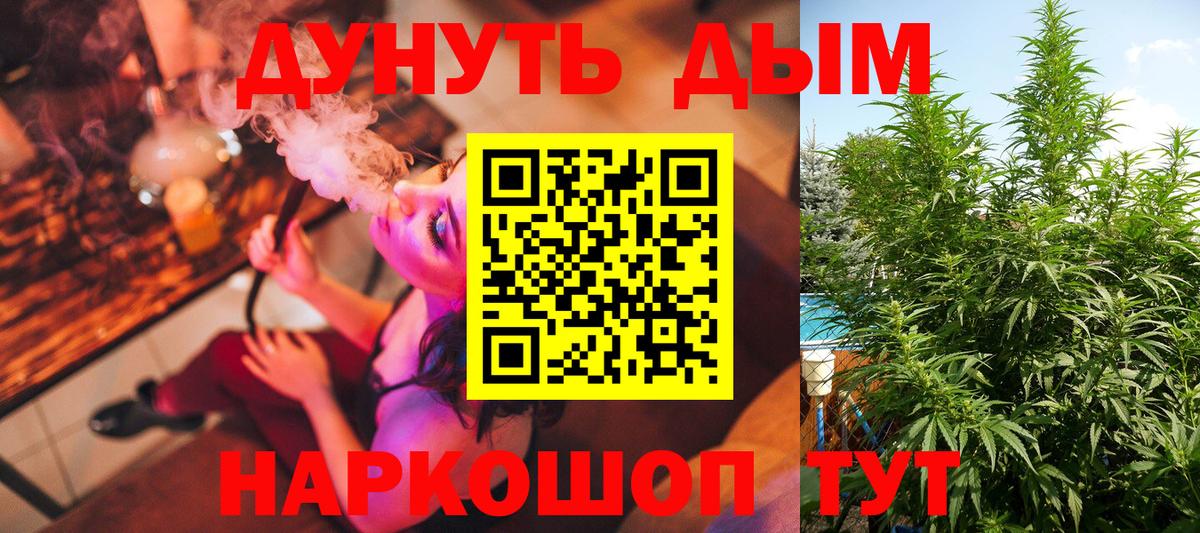 Шишки марихуана AK-47 Лесной